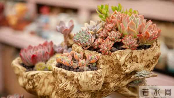 55岁忽然想明白:有3500退休金和30万存款,真没必要还拼命存钱了