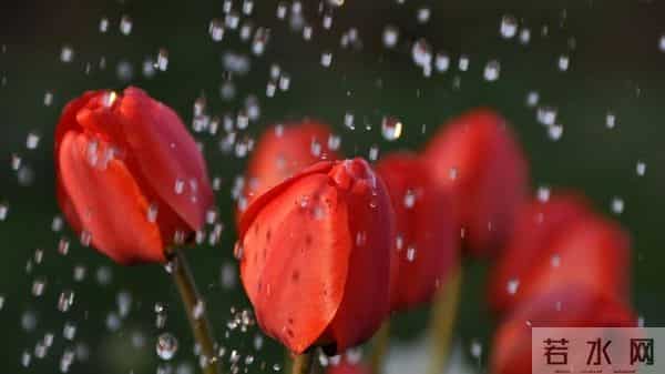 想让男人认定你、珍惜你,女人只要做到这一件事,就够了