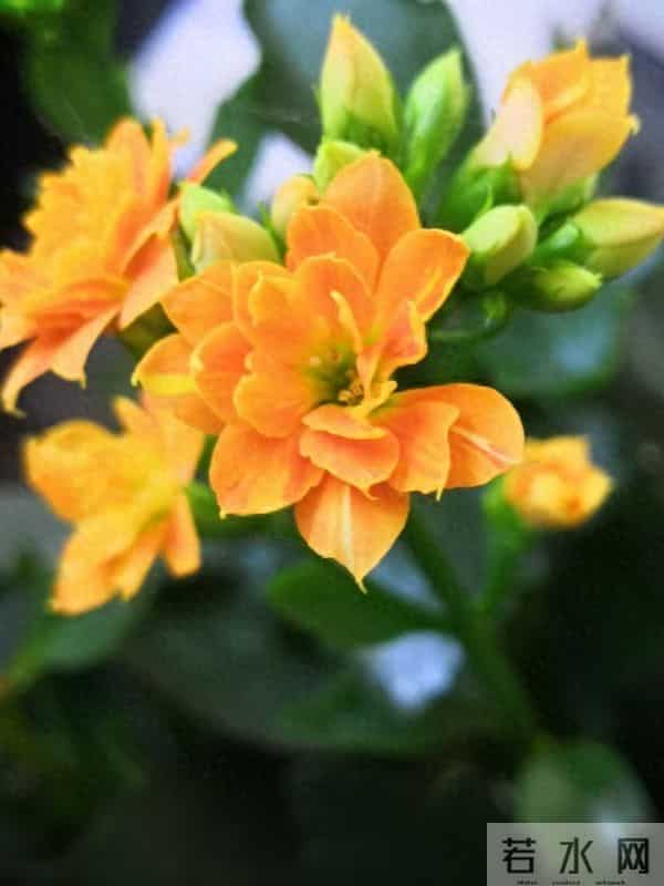 让女人彻底爱上的,往往是这样对待她的男人