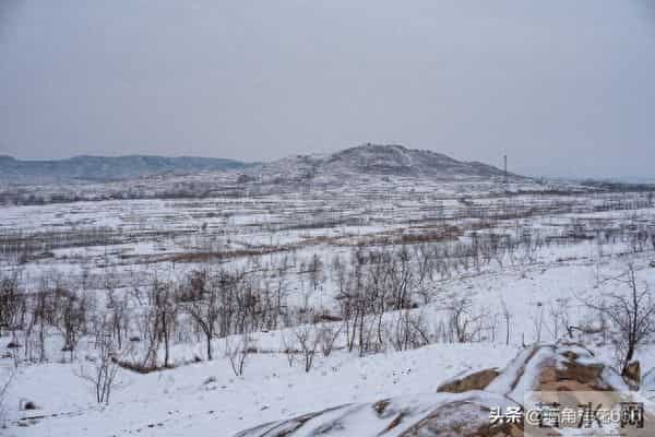 那年母亲去山上捡柴火,遇到一位老人在路边哭泣,母亲做了个决定