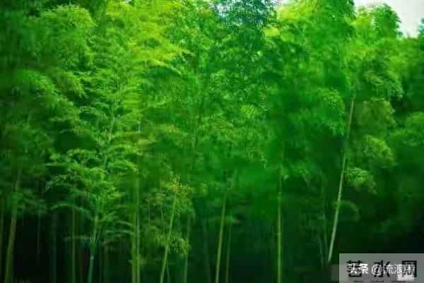 两性关系中,什么年龄段的女人最有味道