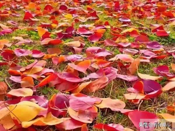 妹妹让我凌晨4点送她去机场老公却拽住我：别去，她刚发了动态！