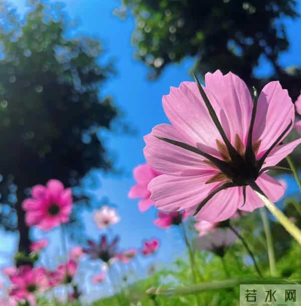 我们之间没有什么好说的,我对你失望透顶