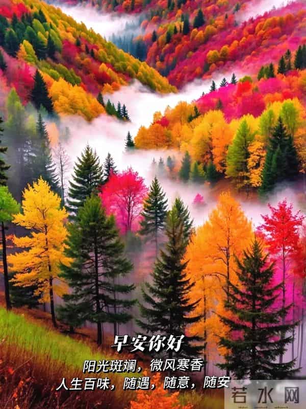 早上好早安祝福美图-岁月无恙，今冬安祥