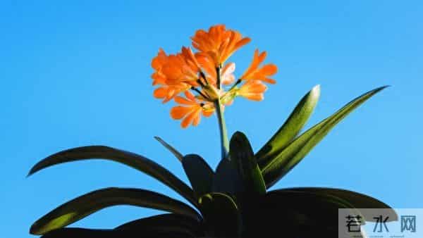 二婚市场的真实现状：人到中年离婚，男人女人谁更有市场？