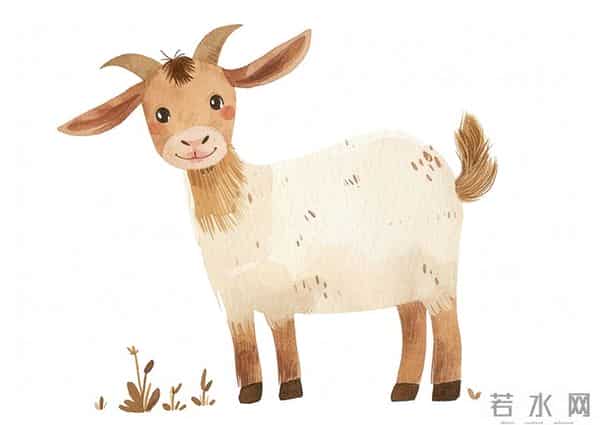 属相羊：明年真正拉开人与人差距的， 不是能力，而是这“四件事”