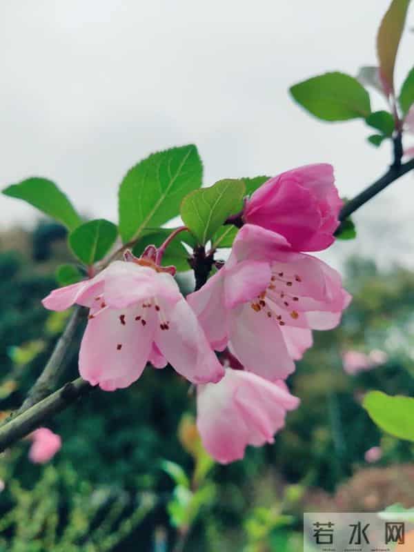 让你享用一辈子的人生金句:句句清醒,句句治愈,句句入心