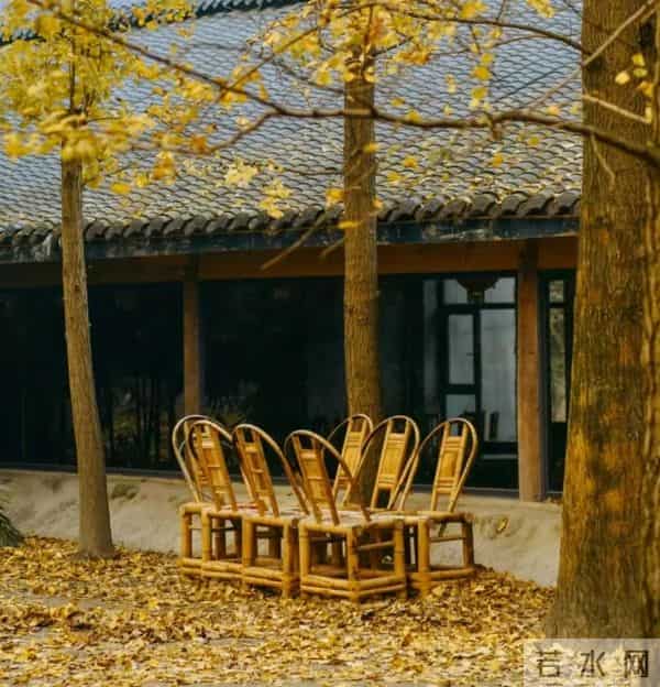 退休后,只想找个院子,不争、不赶、不卷