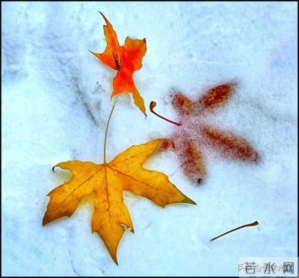 人再厉害,也别做这三件“伤天害理”的事,老天爷都看着呢!