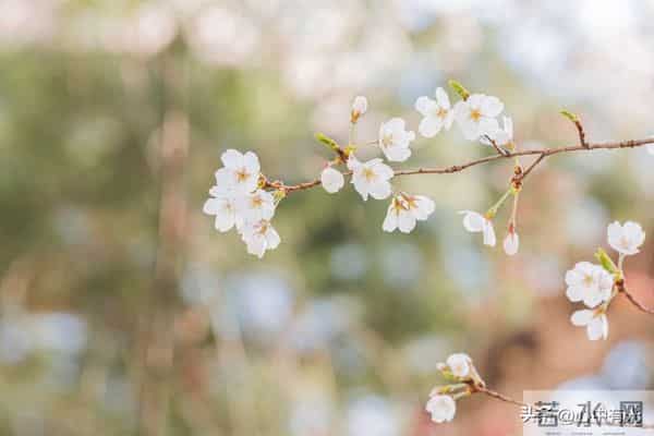 两性关系：60多岁阿姨直言：女人找老伴，最想要的是这点
