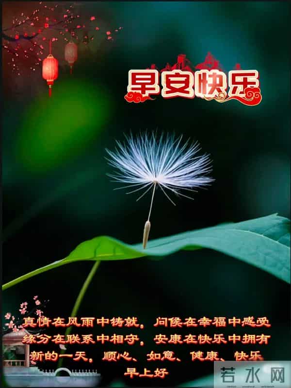 早上好早安祝福美图-岁月无恙，今冬安祥