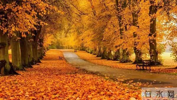 两性关系:步入晚年,女人无法抗拒的三个男人习惯,你家那位有吗