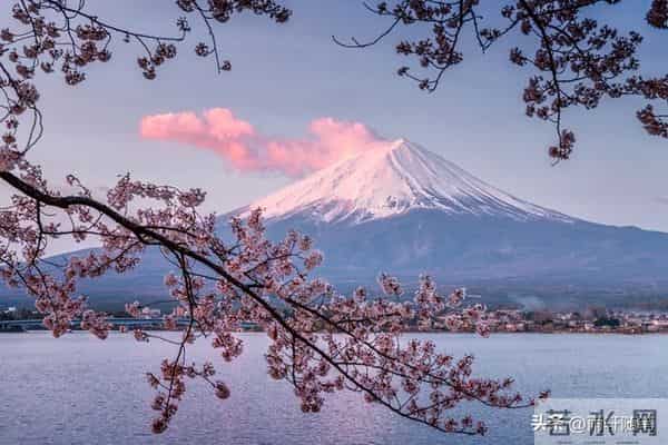 到了晚年才明白:出息的孩子是面子,贴心的孩子是拐杖