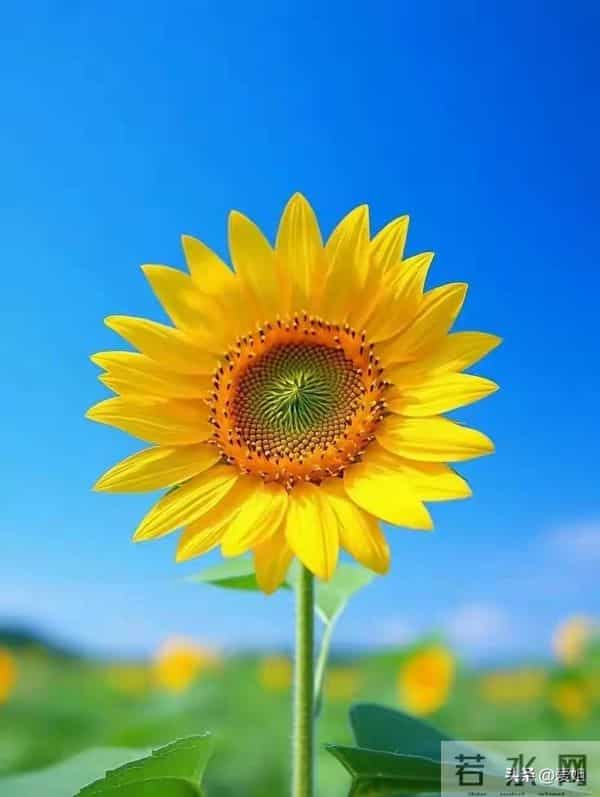 财运将至，好运已来，快快签收