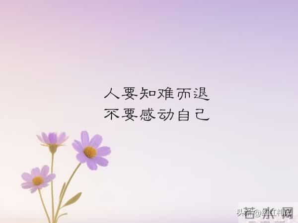 余生很短，别让遗憾太长。