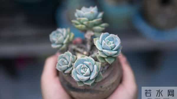 女儿被裁在家,姑姐让我女儿去照顾她婆婆,每月5000我直接拒绝了