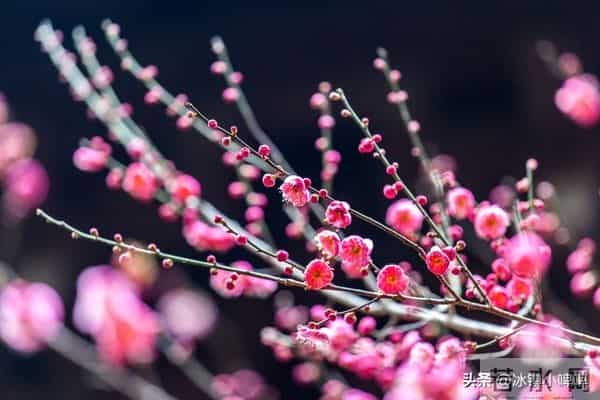 中年女人若有这3种“气味”，最勾男人魂，第三种最致命