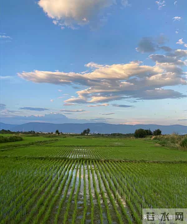 老了才悟透：人生没有什么放不下的，一切都是最好的安排