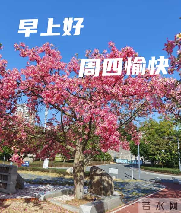 2025年11月27日早上好 早上好温馨问候祝福语 早安精美图片 周四愉快