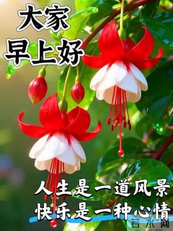 2025.11.27周四早安丨愿你今日心藏繁星梦有远方，与幸运撞个满怀