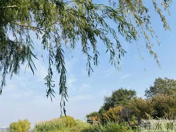 一个家庭中突然冒出这两件“喜事”,是走向衰败的征兆,别不在意