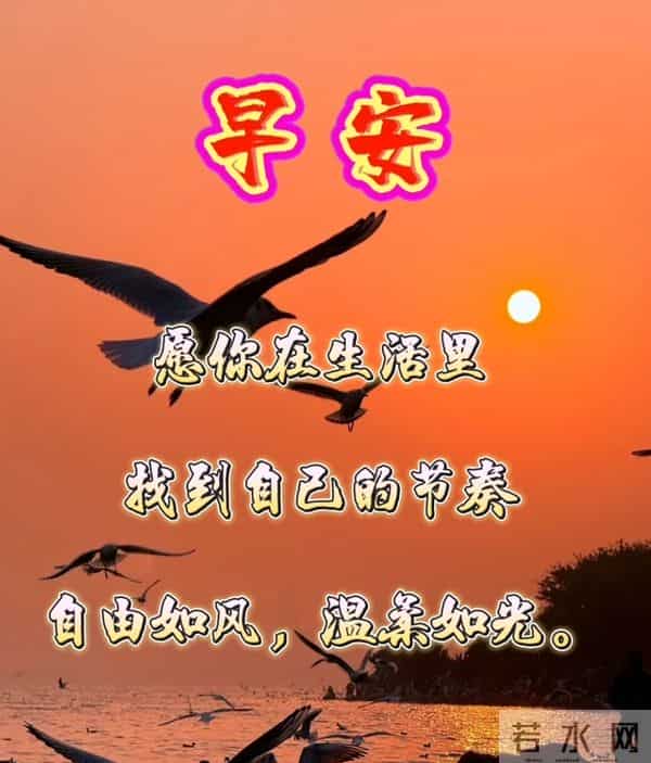 2025年11月27日早上好 早安温馨精美美图祝福语 早安周四愉快 早上好