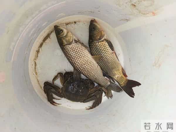 这些老人言，让你受益终身