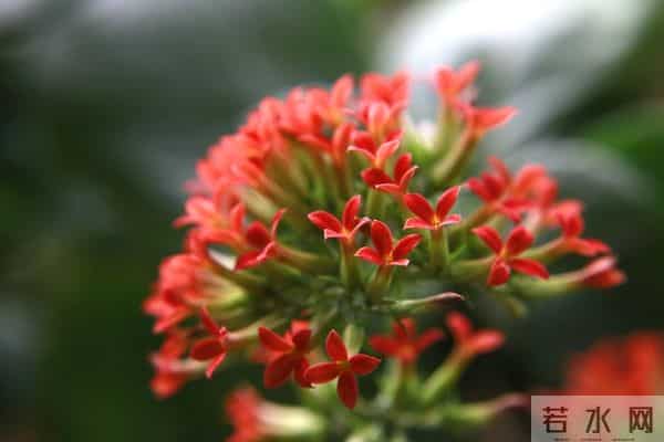 让女人彻底爱上的,往往是这样对待她的男人