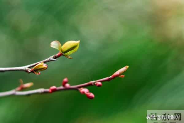 是天意有意让你看到此文，你命中有的早晚都会到你手中