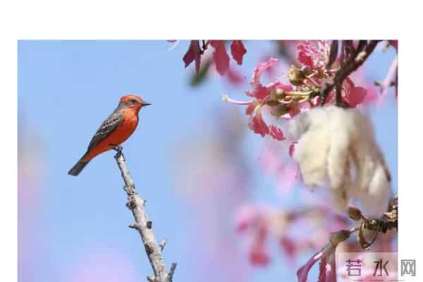 低谷不会永远困住你，今天是最后一天，下一步你将迎来崭新人生