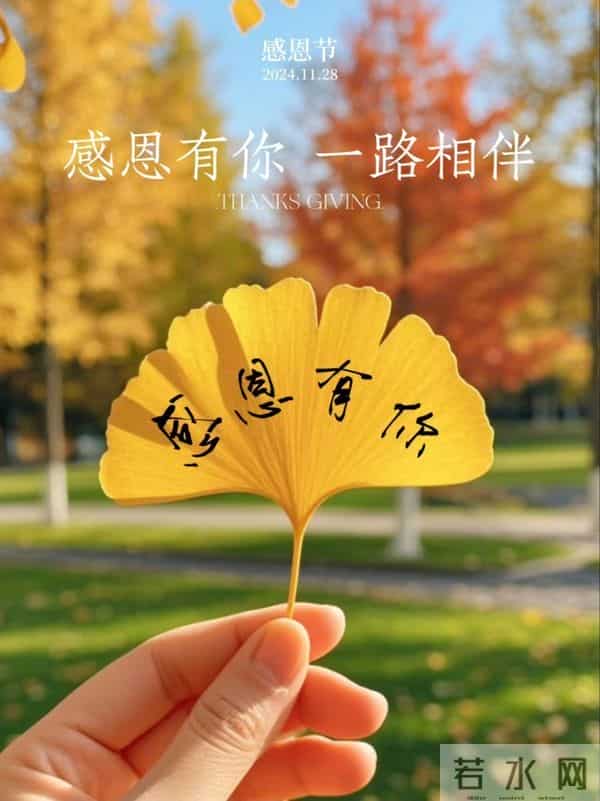 感恩有你,一路相伴,适合朋友圈的感恩节文案,愿岁月温柔!