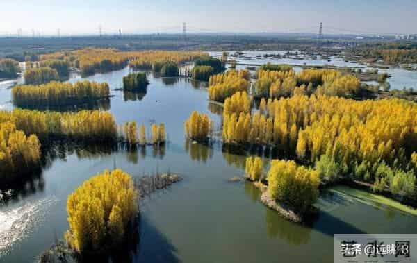 无法解释的玄学：一定要牢记，关键时刻，能帮你解燃眉之急！