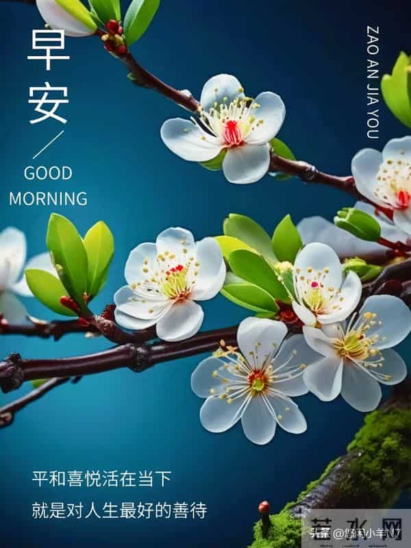 早安图片-愿今日的你不负晨光,好运将至~