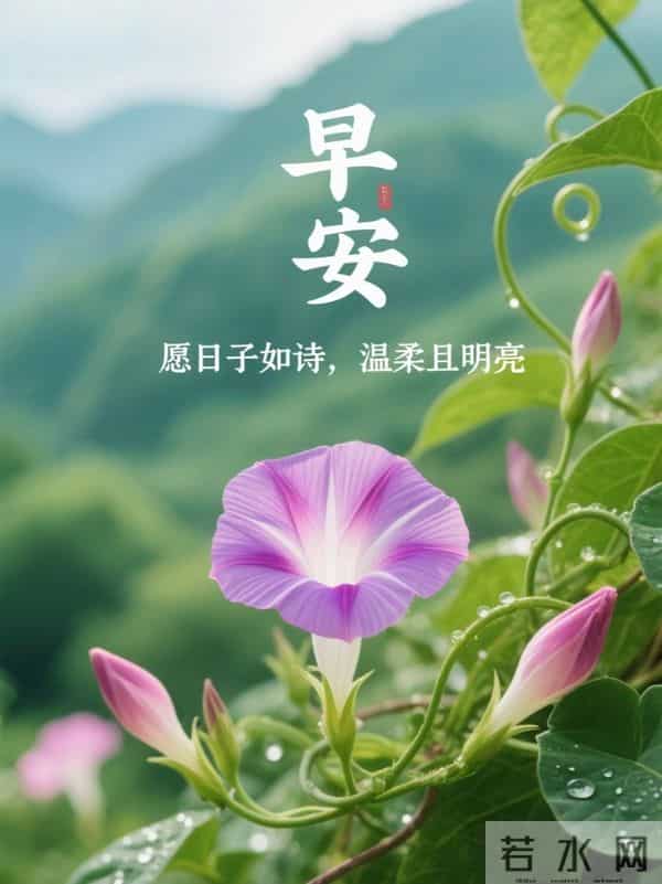 周四愉快!愿你不慌不忙,向阳生长,活成自己喜欢的样子!