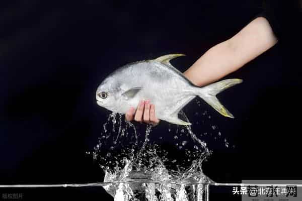 感恩节,你最想感恩的是谁?我选母亲