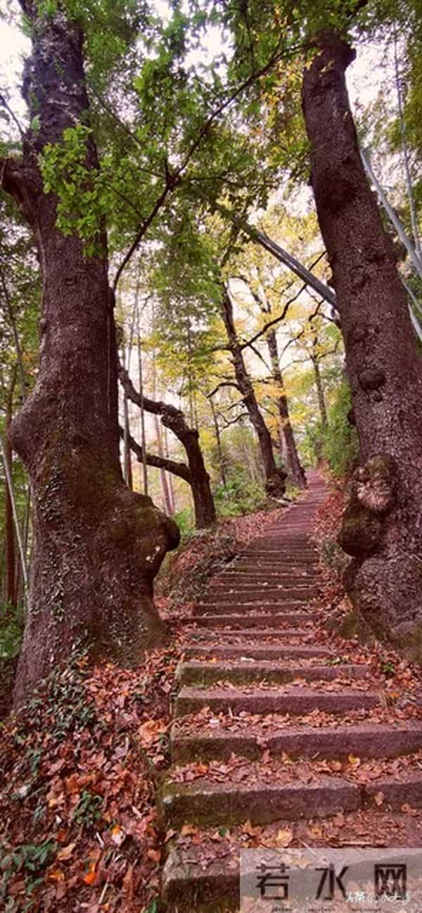 人老了,最嫌弃你的人是谁?主要有三人,看完你就明白了