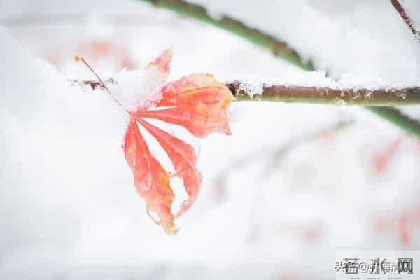 岁末浅冬暖,往事皆温柔:这一年的美好你还记得吗?