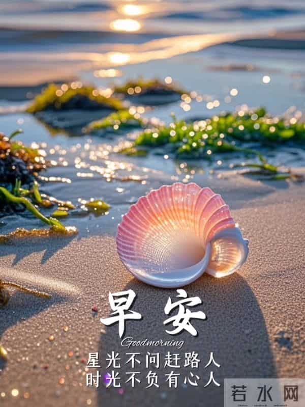 知恩于心,感念于行,常怀感恩,以心汇暖,让感恩铺满初冬的晨光