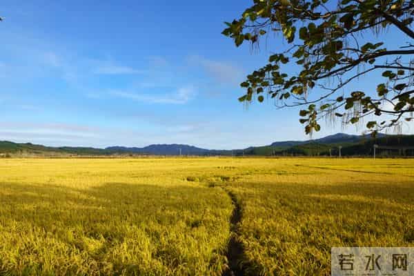 这段话,一辈子都写不出来,句句入心,永不过时,直接抄了