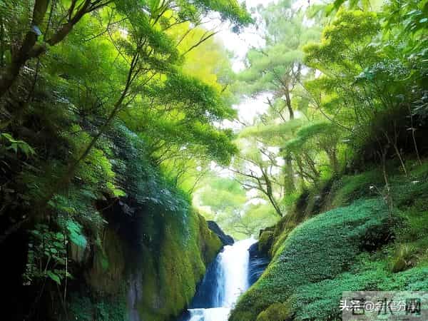 一不惯,两不碰,三不交”:六十岁之后的忠告,别不当回事