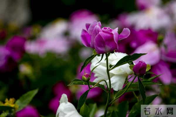 伤着伤着就醒悟了：男人心里没你， 才会对你做这些事