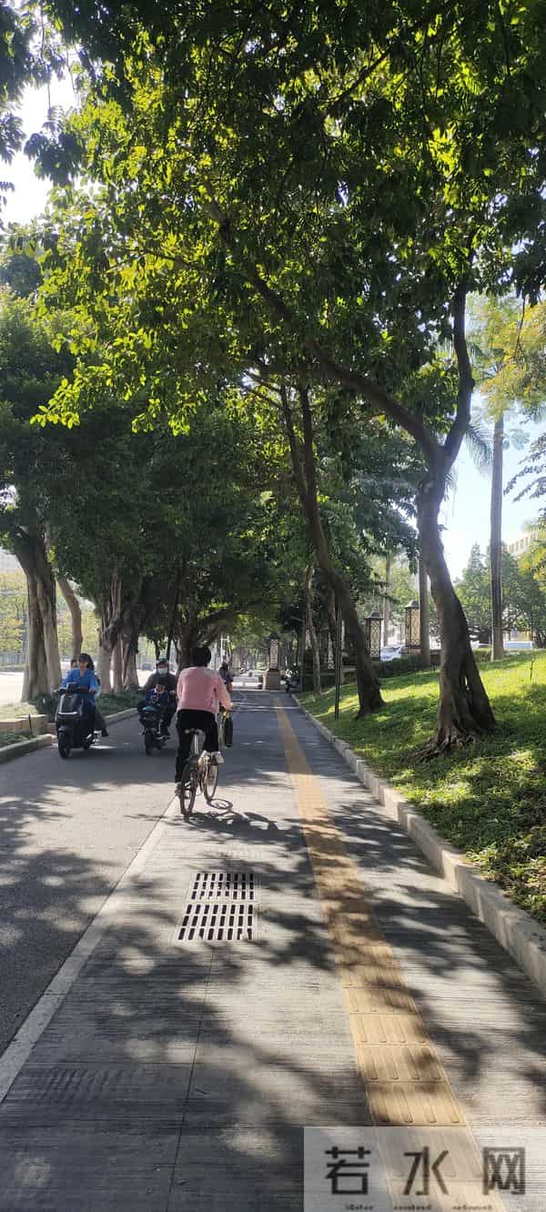 43岁深圳打工人,离婚无孩,活成自己的“顶配”,才是真正的体面