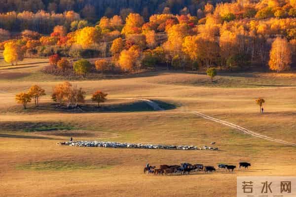 渐渐老去的70后，最无奈的，不是穷，而是家庭出现这五种情况