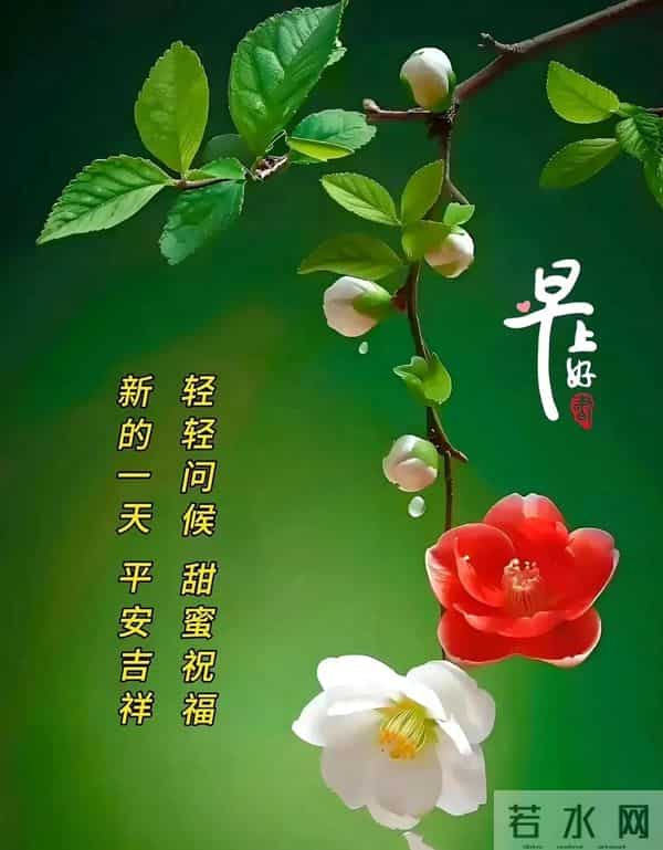 新的一天,新的开始!一句早安,温暖心房;一份祝福,伴你身旁。