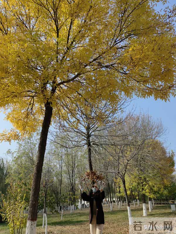 婆婆英雄媳好汉173(原创)