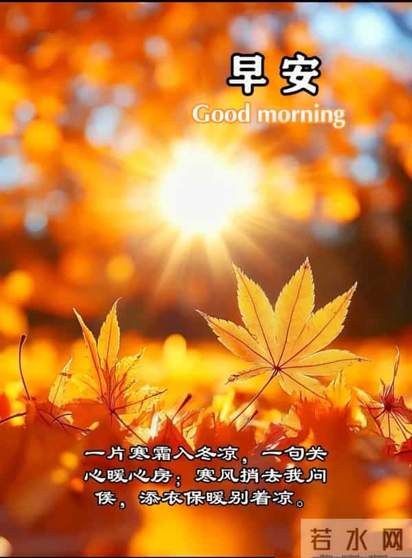 早安,又是崭新的一天!愿你的今日,好运连连,自在顺遂!