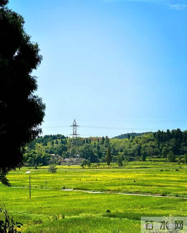 老了才悟透：人生没有什么放不下的，一切都是最好的安排