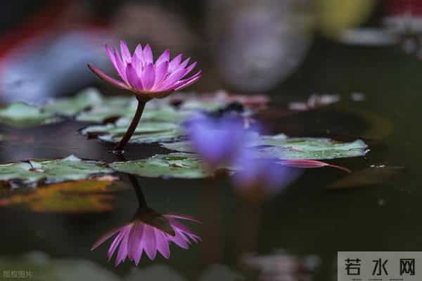 伤着伤着就醒悟了：男人心里没你， 才会对你做这些事