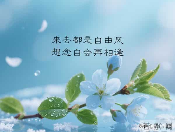 余生很短，别让遗憾太长。
