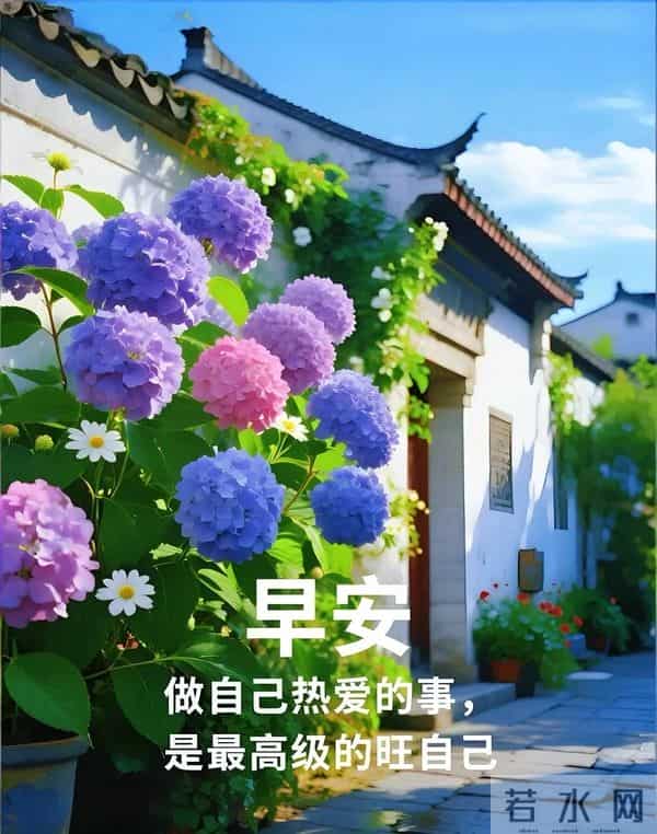 新的一天,新的开始!一句早安,温暖心房;一份祝福,伴你身旁。